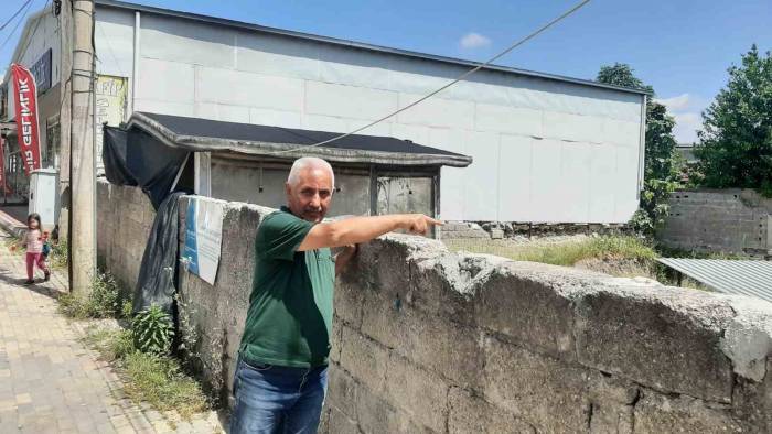 Truva Savaşı Kahramanının Mozaiği Ortaya Çıktı