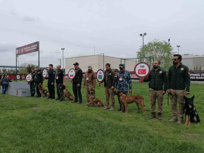 Narkotik Dedektör Köpekler Yarışması’nda Türkiye’yi Temsil Eden ’nobel’ Birinci Oldu