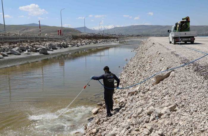 Van Büyükşehir Belediyesinin İlaçlama Çalışmaları Devam Ediyor
