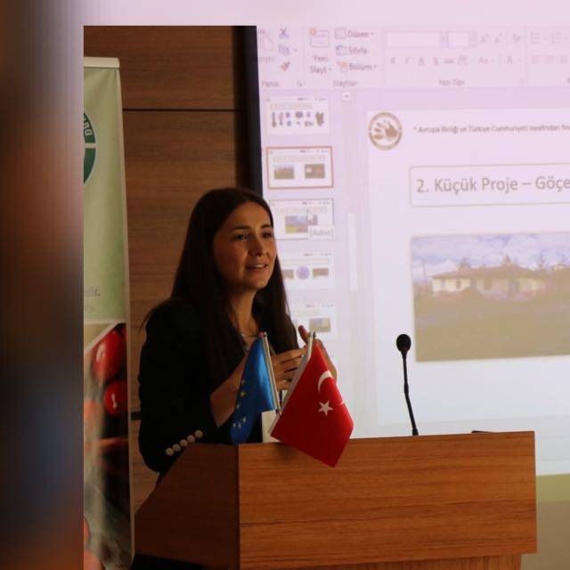 19 Mayıs Resim Ve Şiir Yarışması