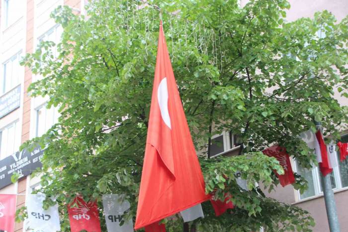 Kopan Türk Bayrağı İçin Seferber Oldular