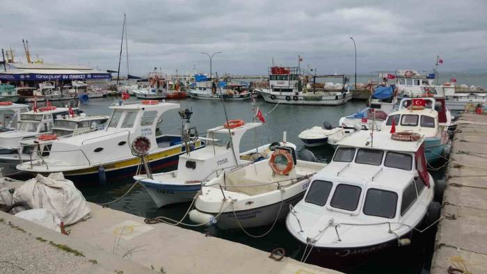 Karabiga’da Jumbo Karides Av Sezonu 15 Mayıs’ta Başlıyor