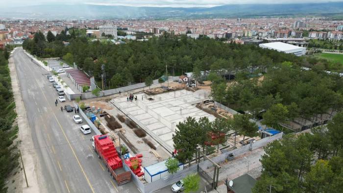 Çorum’da Sokak Hayvanları İçin Hastane Yapılıyor