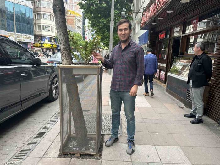 Ağaç Zarar Görmesin Diye Aldığı Önlemle Çevre Esnafına Da Örnek Oldu