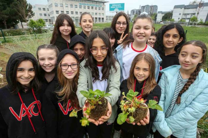 Nilüfer’de Öğrenciler Mini Bostan’da Fide Dikti