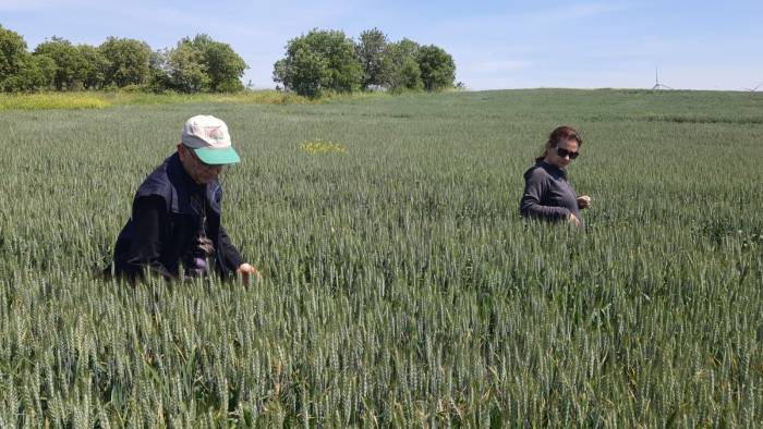 Süne Mücadelesi Çerçevesinde Sürvey Çalışmalarına Devam Ediliyor