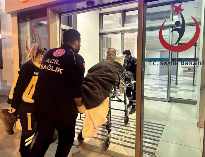 Kaybolduğu Ormanda 14 Gün Boyunca Mağaraya Sığınıp, Ot Yiyerek Hayatta Kaldı