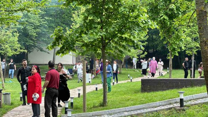 Oylarını Kullanıp Pikniğe Koştular