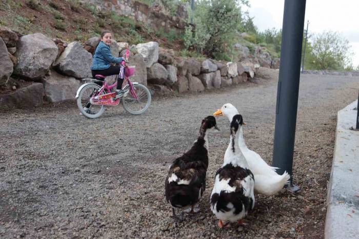 Kayserililerin Yeni Mekanı: Zincidere 100. Yıl Mesire Alanı
