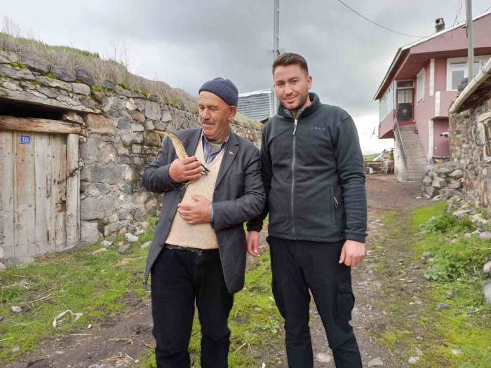 Bitkin Bitkin Halde Bulunan Balaban Kuşu Tedaviye Alındı