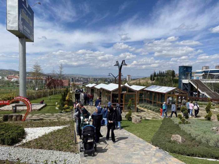 Başkentin Yeni Rotası: “pursaklar Endemik Vadi”