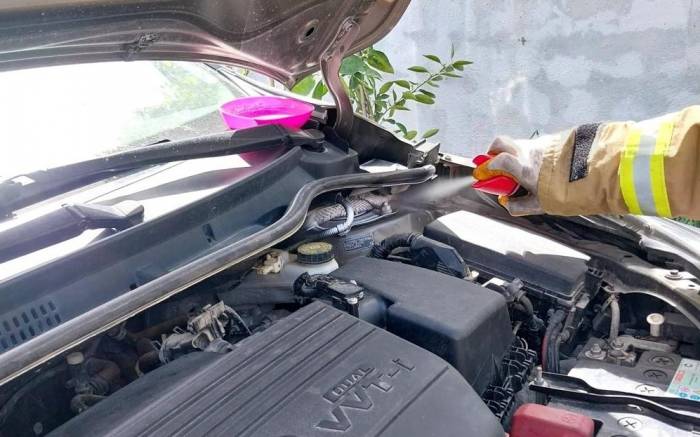 Araç Motoruna Giren Zehirli Yılan Korkuttu