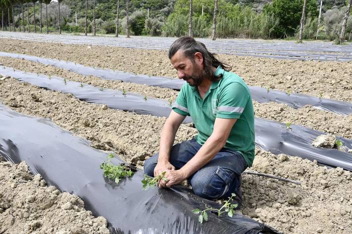 Adabahçe’ye Yaz Bereketiyle Geldi