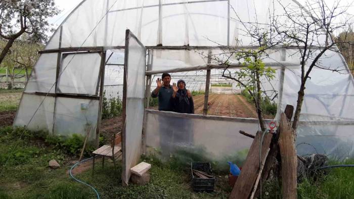 Yarım Asırlık Aşıklar Emekliliğin Tadını Seracılık Yaparak Çıkarıyor
