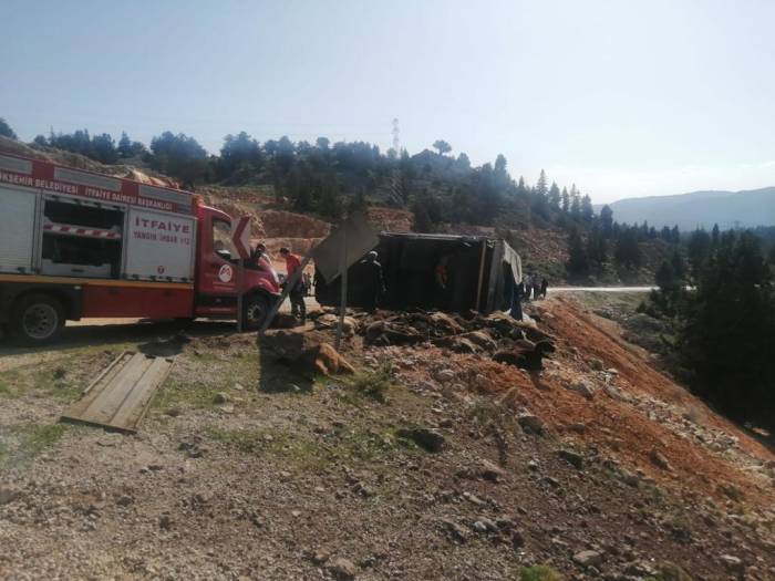 Tır Devrildi, 60 Hayvan Telef Oldu