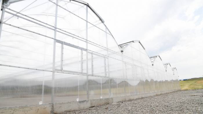 Çiçek Üretim Serasında Sona Gelindi
