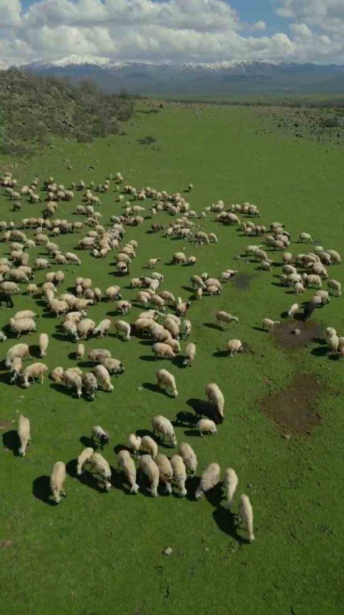 Bingöl’de Bahar Manzaraları Dron İle Görüntülendi