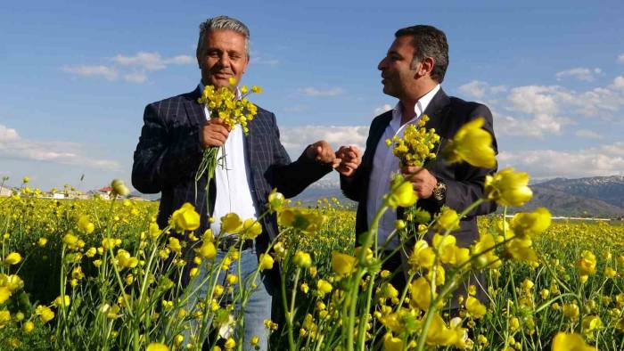 Sarı Çiçeklerle Renklenen Yüksekova’da Muhteşem Görüntü