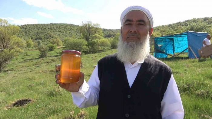 Arıcıların Yeni Gelir Kapısı Organik Bal: Kilogramı 400 Lira