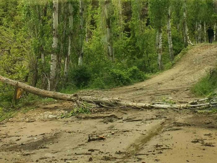 Sarıgöl’de Önce Dolu Ardından Sağanak Yağış Etkili Oldu