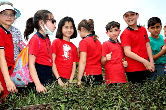 Öğrenciler Kent Bostanları’nda Tarımla Tanıştı