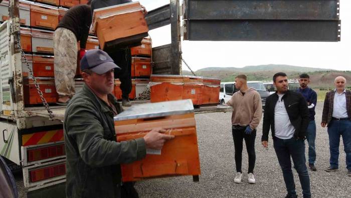 Siirt’te 11 Milyon 221 Bin Değerinde 5 Bin 900 Arılı Kovan Dağıtımı Yapıldı