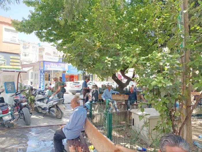 Hatay’da Sıcak Hava Etkili Oluyor