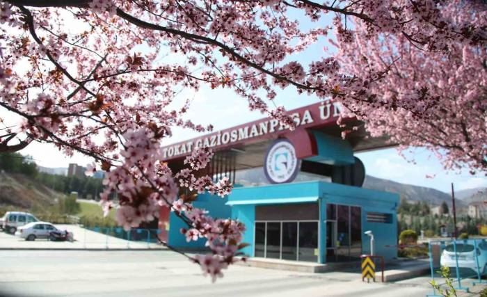 Togü Dünya Üniversite Sıralamasında En İyiler Arasında Yer Aldı