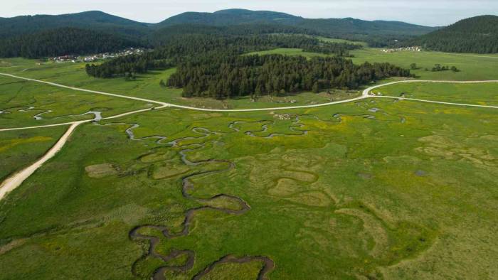 Bolu’nun Her Mevsim Ayrı Güzel Yaylası: Sarıalan
