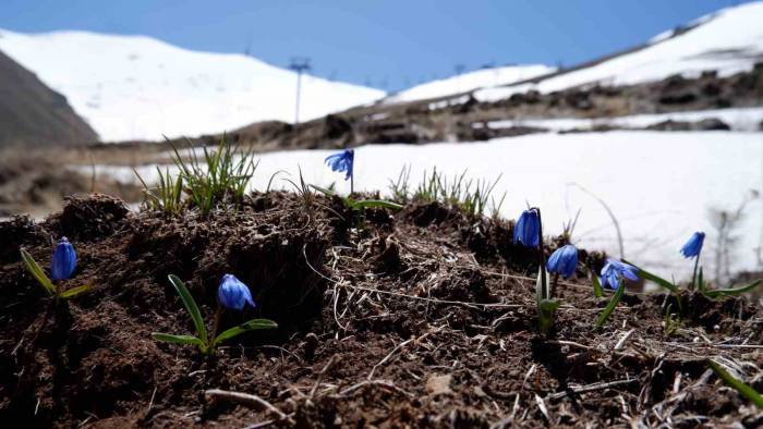 Palandöken’de Mayıs Ayında Kar Topu Keyfi