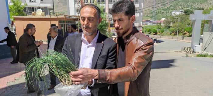 Vatandaşlar Zuzubak Otunun Coğrafi İşaretle Tescillenmesini İstiyor