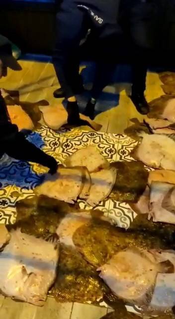 Yasadışı Kalkan Balığı Avlayan 3 Kişiye 25 Bin 163 Lira Ceza