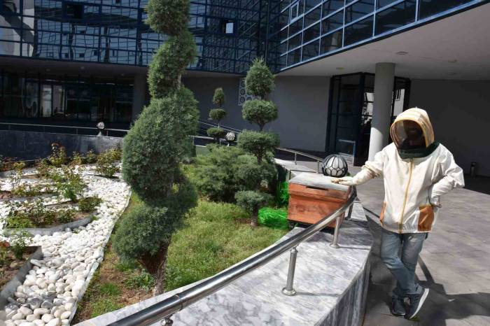 Belediyenin Bahçesine Konan Oğul Paniğe Yol Açtı