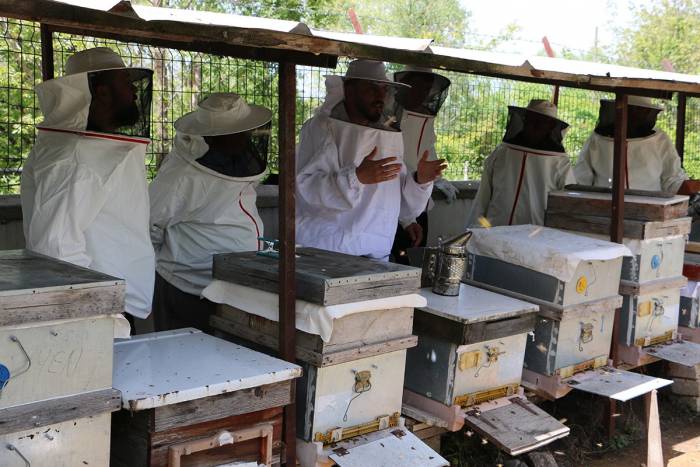 Arıcılığa Başlamak İçin İlk Adımlarını Attılar