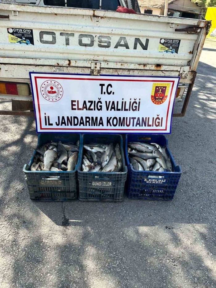 Elazığ’da Kaçak Balık Avı Yapan Şüpheli Yakalandı
