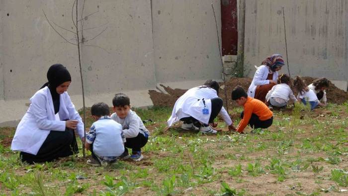 Minikler Fidan Dikti, Büyükler Halay Çekti