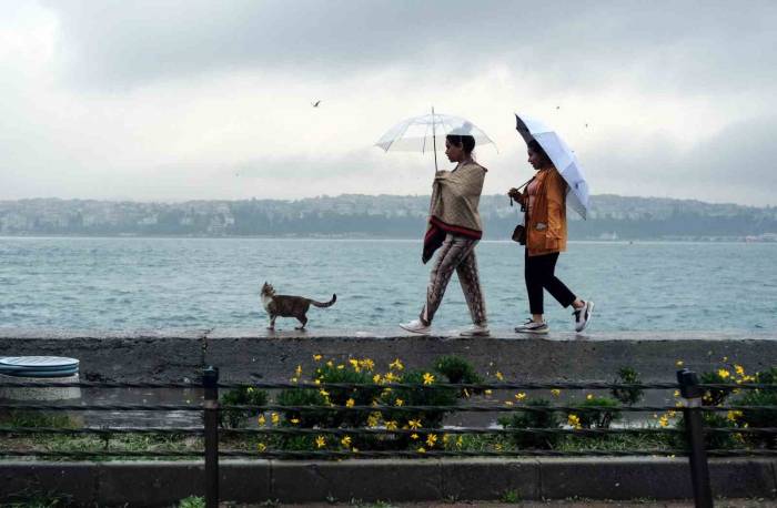 İstanbul’da Yağmur Etkili Oluyor