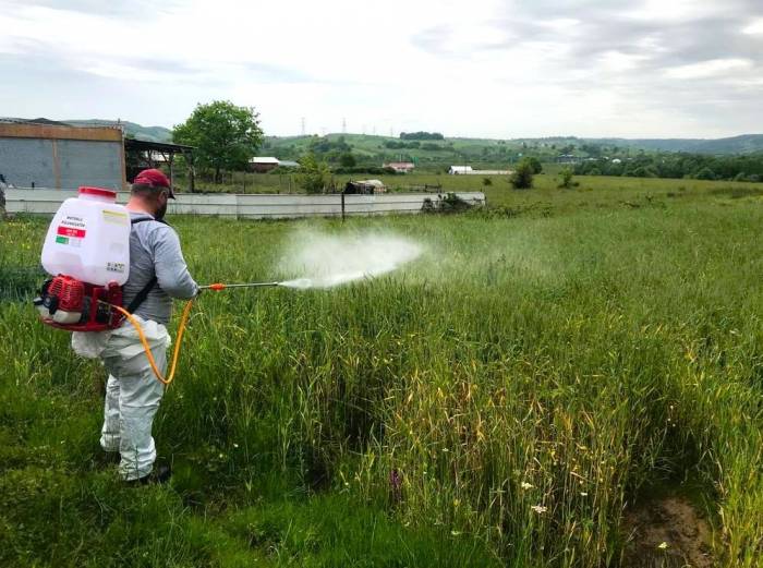Buğday Arazilerine Gübreleme Desteği