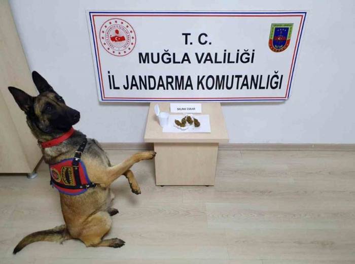 Jandarma 4 Günde 147 Operasyon Yaptı