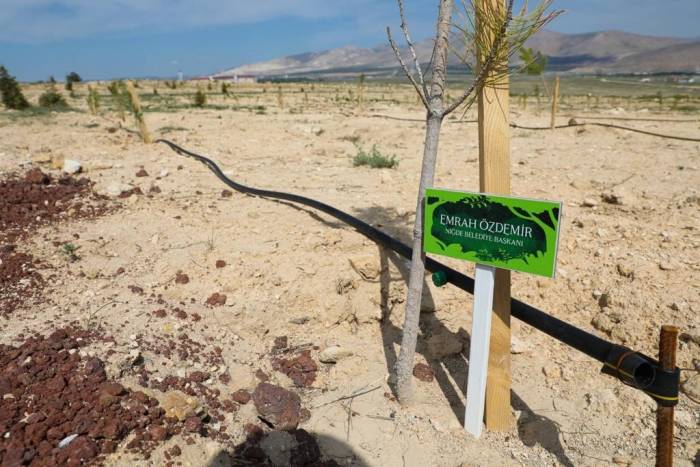 Niğde Belediyesi’nden Elif İçin Hatıra Ormanı