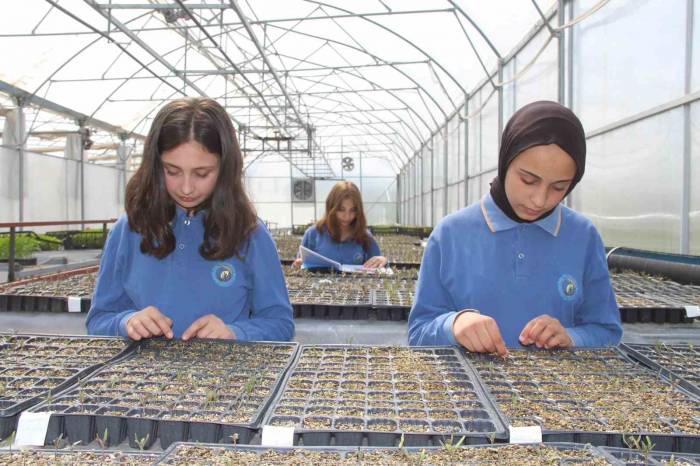 Geleceğin Ziraat Mühendisleri Bu Lisede Yetişiyor: Hedefleri Yarım Milyon Ciro