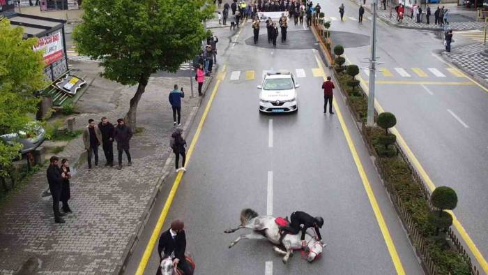 19 Mayıs Kortejinde Yolda Kayan At, Binicisiyle Birlikte Düştü