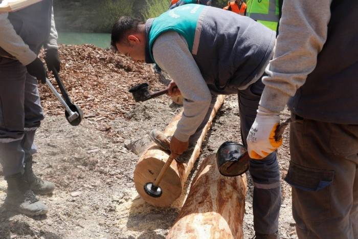 Güvenli Ağaç Kesimi İçin Eğitim Verildi