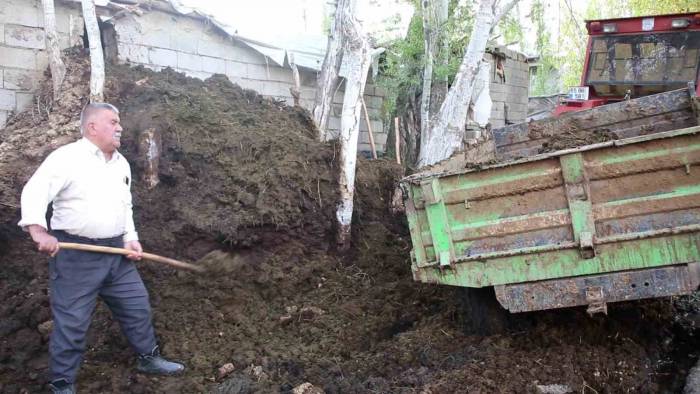 Üreticiler Hayvan Gübresiyle Verimini Arttırıyor