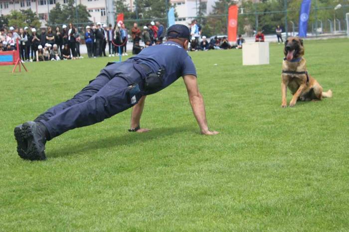 Tüm Matematik Sorularını Cevaplayan Jandarma Köpeği ’rüzgar’ İzleyenleri Hayran Bıraktı