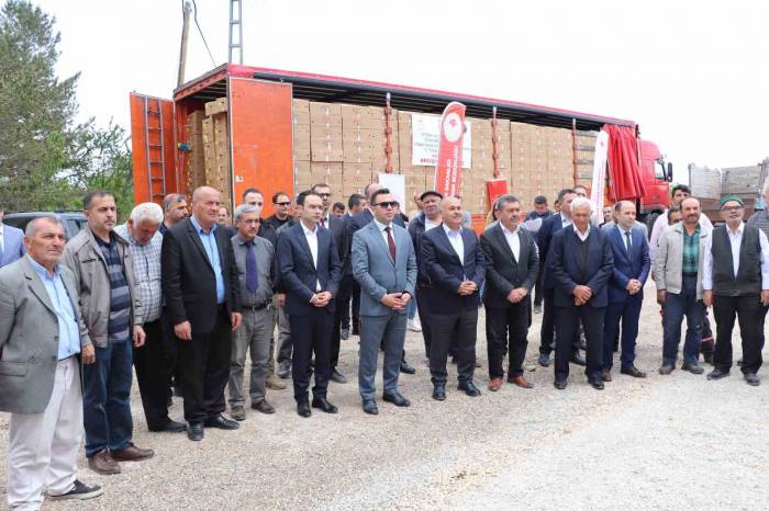 Akıncılar’da 220 Bin Domates Fidesi Dağıtıldı