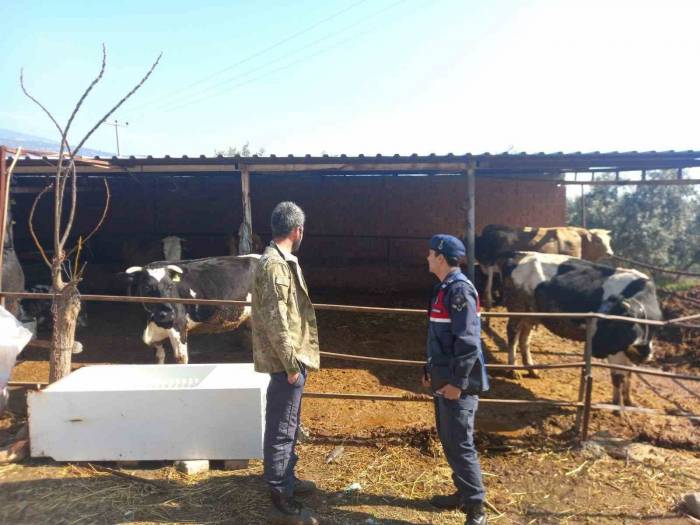 Jandarma, Çiftçileri Bilgilendirdi