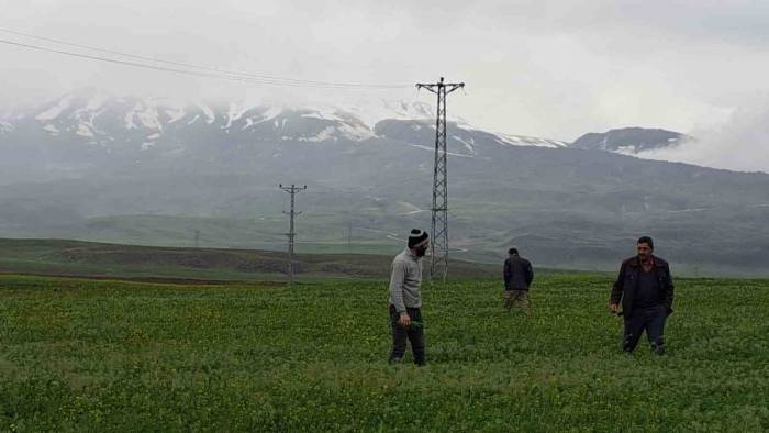 Mayıs Ayında Kar Yağdı, Vatandaş Yeniden Soba Kurdu