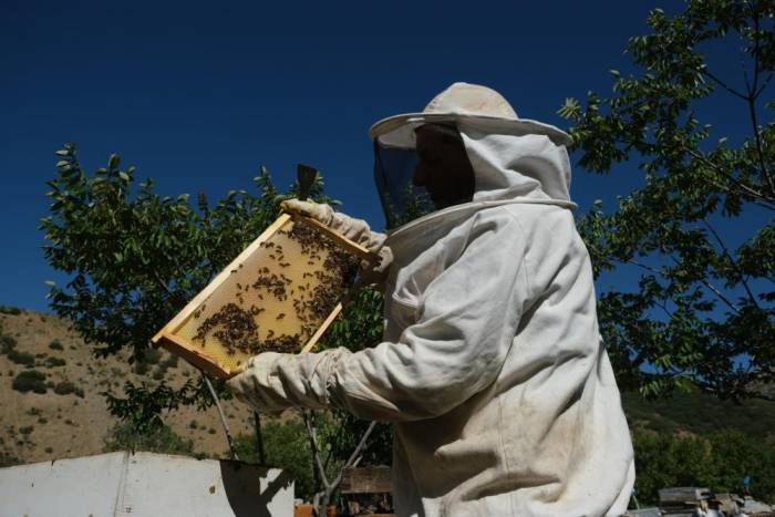 Çayırlı’da Arıcılara Devlet Desteği