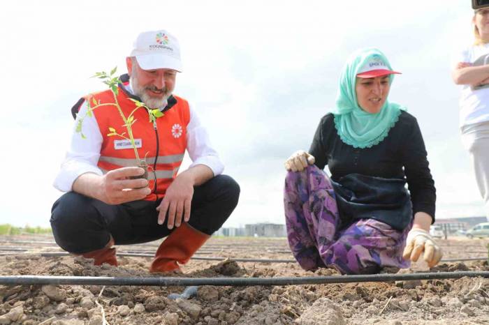 Başkan Çolakbayrakdar; “kocasinan, Şehrin Merkezinde Tarımsal Üretimle Türkiye’ye Örnek Olacak”